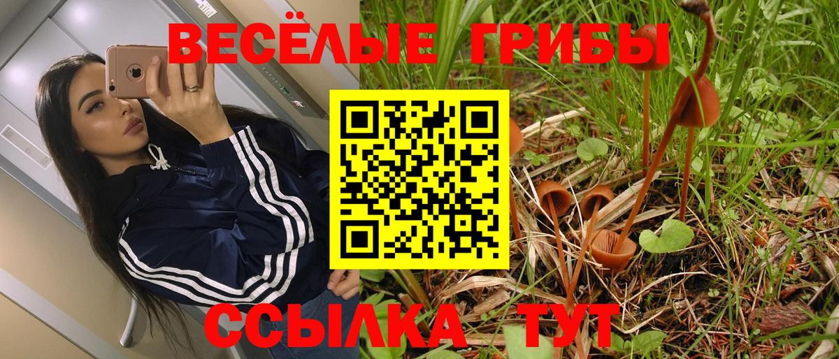 Псилоцибиновые грибы ЛСД Химки