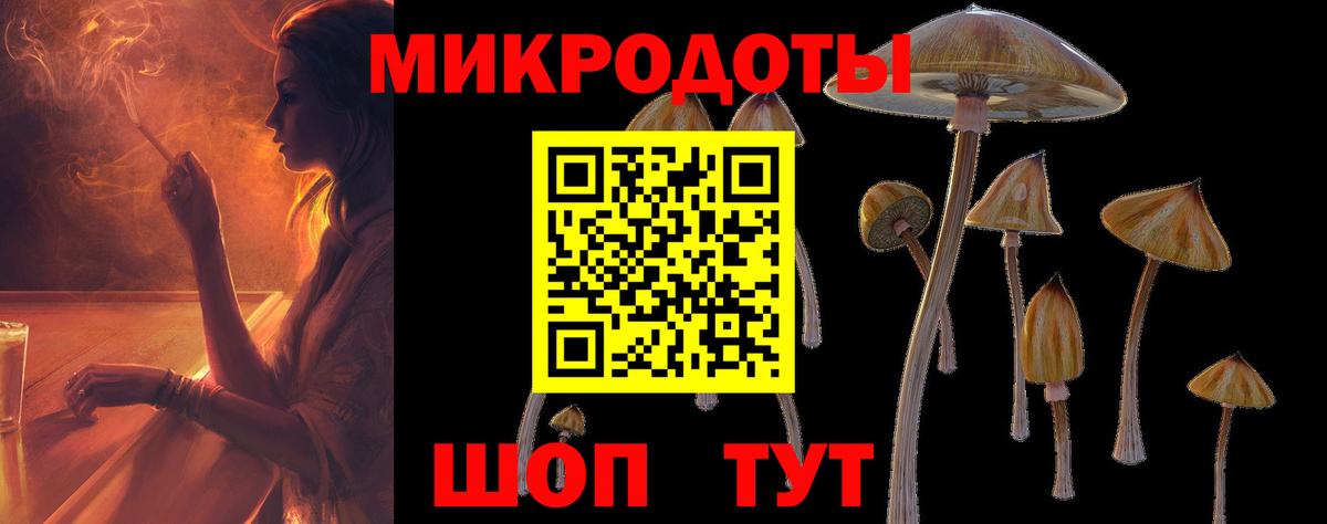 Химки  Псилоцибиновые грибы Psilocybine cubensis  Вход с VPN 